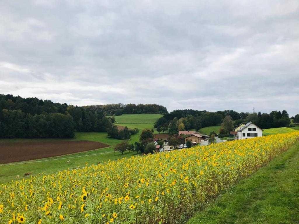 Zirbenholzwohnung Lochau Eckersdorf